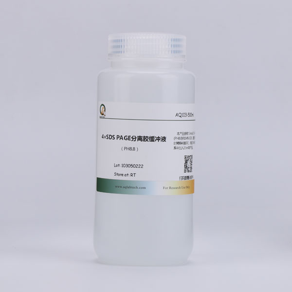 AQ103-500ml 4×SDS-PAGE分離膠緩沖液（PH=8.8）