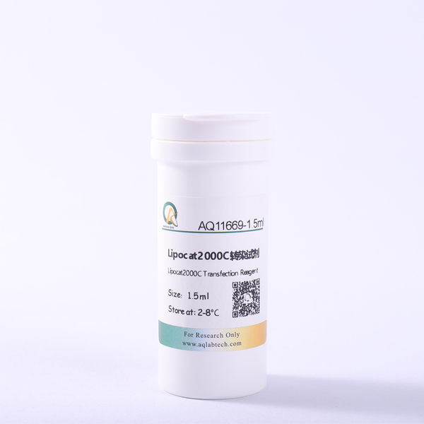 AQ11669 lipocat2000C轉(zhuǎn)染試劑